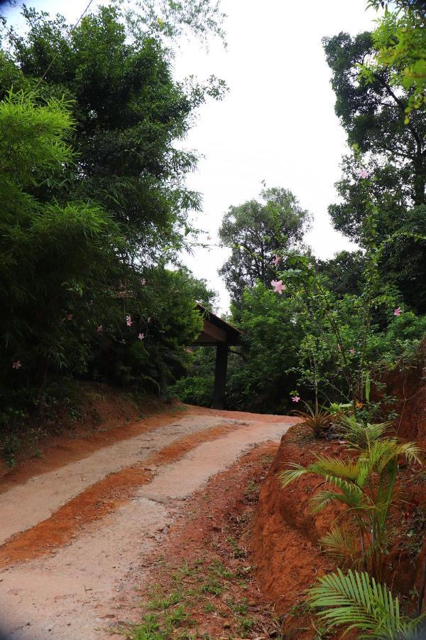 Coorg Nature Breeze Home Stay Madikeri Exteriér fotografie