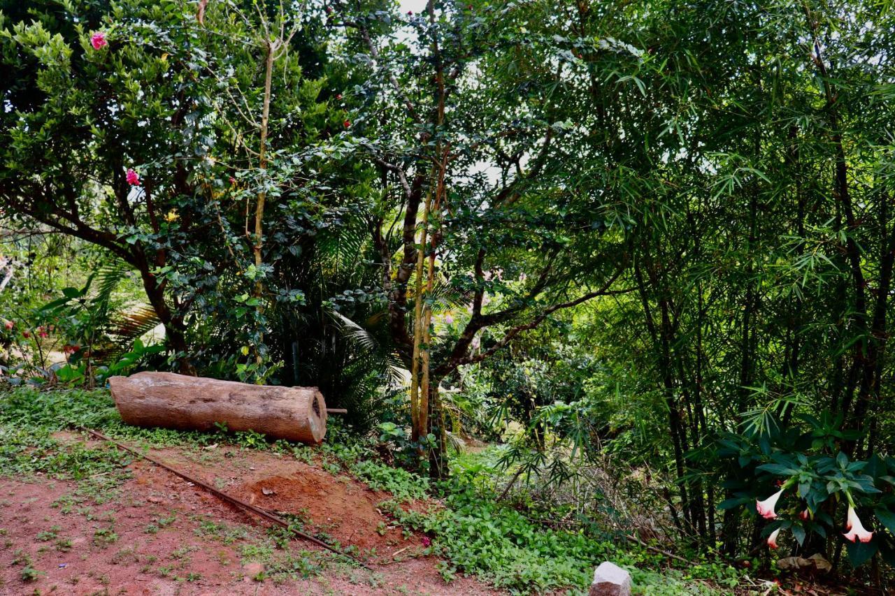 Coorg Nature Breeze Home Stay Madikeri Exteriér fotografie